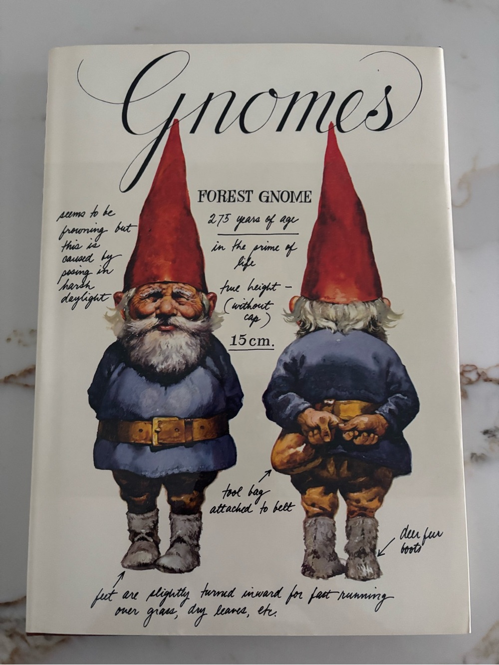 Gnomes Illustrated Book Cover - Red Hat Blue Coat